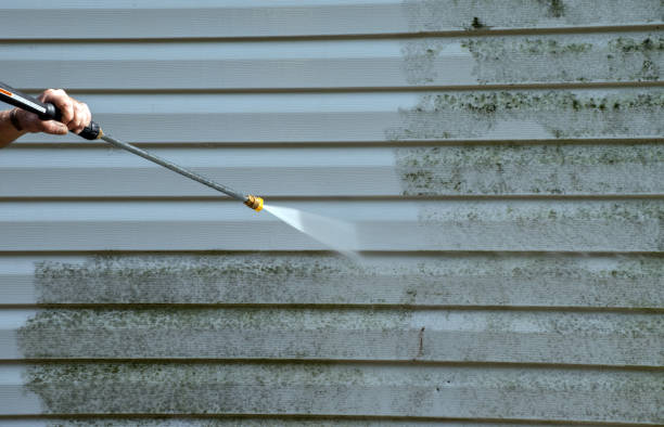 Best Patio and Deck Pressure Washing  in Pasadena Hills, FL