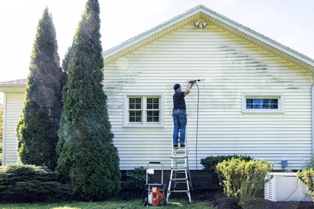 Best Sidewalk and Walkway Cleaning  in Pasadena Hills, FL